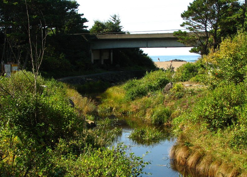 Fogarty Creek State Recreation Area, Oregon, USA